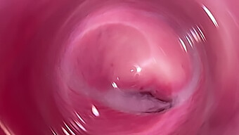 Intense Close-Up Of A White Girl'S Masturbation Session