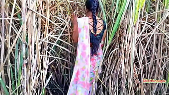 Outdoor Pussyfucking With A Hot Desi Aunty In A Sugarcane Field