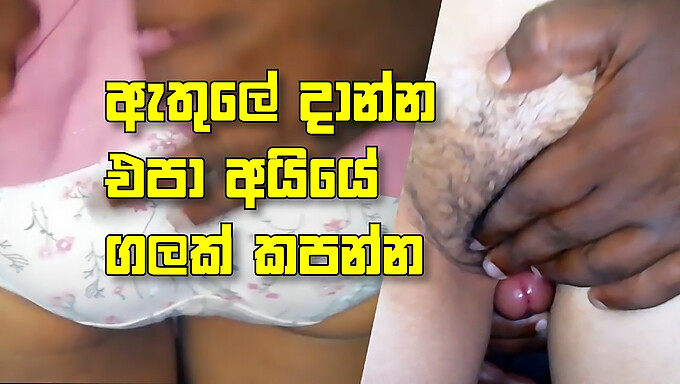 Chàng trai Sri Lankan bắt chân cô gái trẻ Desi