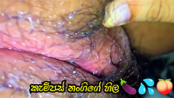 University Student Enjoys A Good Laugh While Using A Condom In Sri Lanka