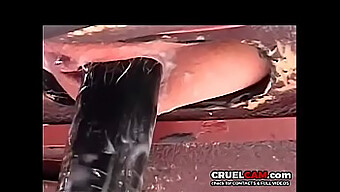 Nikmati Kenikmatan Yang Luar Biasa Dengan Mainan Yang Akan Membuatmu Terpesona - Cruelcam.Com