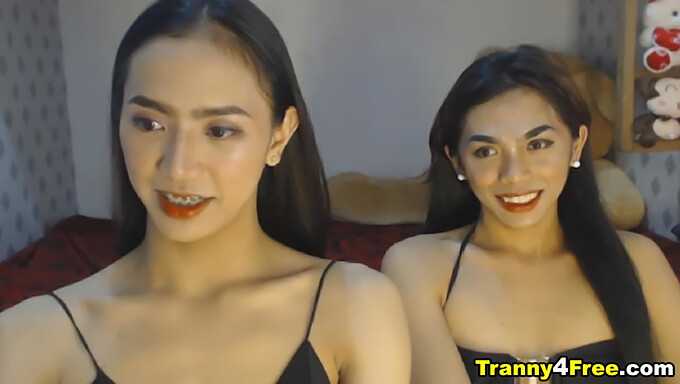 Skinny Asian transgender gives double blowjob