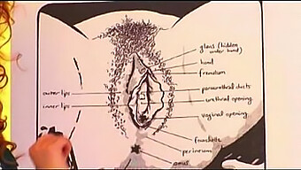 Bruno'S Sensual Tongue Play On A Woman'S Vagina